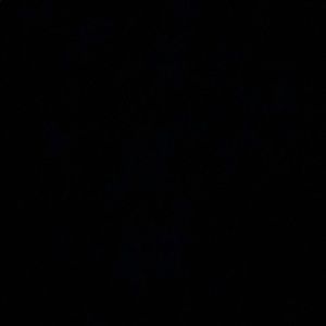 Meet your Posher, Soledad